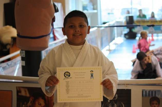 Team Third Law BJJ & MMA Tiny and Little Ninja's Life Skill Worksheet