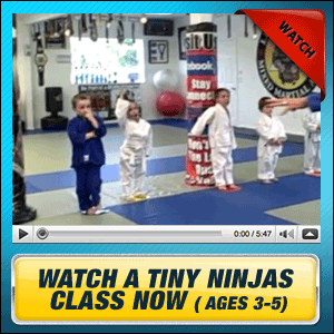 Watch A Tiny Ninjas Class Now