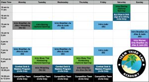 Team-Third-Law-Adults-Martial-Arts-Program-Schedule-2022