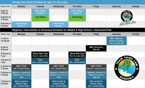 Team Third Law Kids Martial Arts Program Schedule 2023