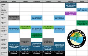 Team Third Law Adults Martial Arts Program Schedule